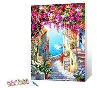 gelrovaled Peinture par Numéros pour Adulte, Peinture Acrylique pour Adultes Enfants débutants Facile sur Toile 30×40 cm avec peintures et pinceaux, Flower Town(Avec cadre)