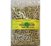 Gelules Pissenlit Racine 250 Mg 1000 Gelules