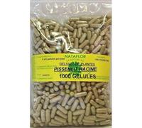 GELULES PISSENLIT racine 250 mg 1000 GELULES