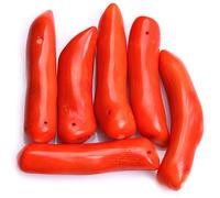 Gem-Inisde Lot de 6 perles de corail en forme de branche Orange/rouge 55-65 mm