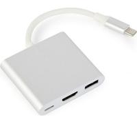 Gembird A-CM-HDMIF-02-SV adaptateur graphique USB Argent