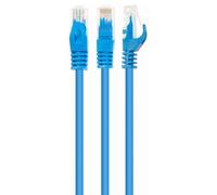 gembird cable reseau utp cat 6 0.25 m