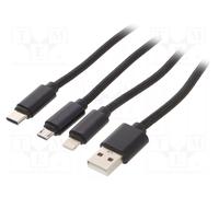 GEMBIRD CC-USB2-AM31-1M Câble