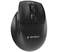 Gembird MUSW3-9B-01 souris Bureau Droitier RF Wireless + Bluetooth + USB Type-A Optique 2400 DPI