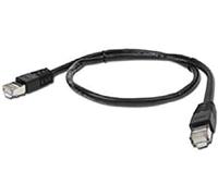 Gembird Patch Cord Cat.6 UTP 3m câble de réseau Noir Cat6 U/UTP (UTP)