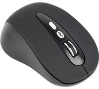 Souris sans-Fil GEMBIRD MUSW-6B-01 Noir Noir/Gris (1 Unités)