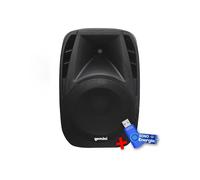 Gemini ES10BLU Enceinte active Noir Boomer 10"+ Clé USB 32G
