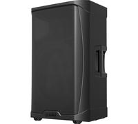Gemini Sound Système PA GD-215PRO 3 canaux Noir XLR RCA