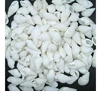 Gemini_Mall Lot de coquillages de mer naturels mélangés Pour loisirs créatifs, mariage, décoration d'aquarium ou jardin, 100 g - Couleur et motif aléatoires, blanc