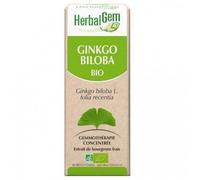 Gemmobase Ginkgo Biloba