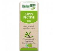Gemmobase Sapin Pectine