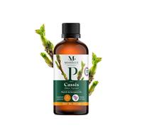 Gemmothérapie macérat bourgeons cassis bio - vitalité