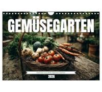 Gemüsegarten - Gemüse aus dem eigenen Garten (Wandkalender 2026 DIN A4 quer), CALVENDO Monatskalender: Selbstversorgung und Gartenglück: Frisches ... von Tomaten, Karotten, Zucchini und mehr
