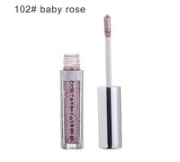 Genealogy Of The Family Of Benjamin B. Hubert, A Huguenot