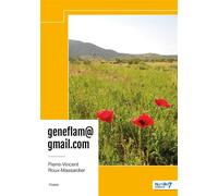Geneflam@gmail.com - Pierre-Vincent Roux-Flamand - Nombre 7 - broché - Récit