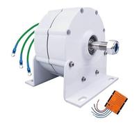 Générateur à aimant permanent, alternateur AC triphasé sans engrenage 12 000 W pour éolienne à eau avec contrôleur (12 000 W, 24 V)