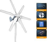 Générateur à turbine éolienne, utilisation efficace de l'énergie, options de tension polyvalentes, avec système hors réseau-a, 2000W, 24V