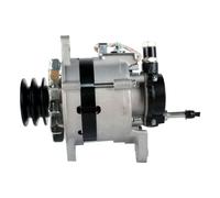 Générateur D'Alternateur 12 V 55 A Ø 68 Mm HELLA Pour Notamment VW TARO