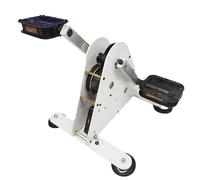 Générateur de puissance à pédale 100 W, portable, avec interface USB/sortie CC 1-35 V, fonction de stockage d'énergie, boîtier métallique, roulement silencieux, idéal pour le camping, le bureau