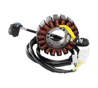 Générateur de Stator adapté for Explorer Trasher 320 / Argon 330 S Taurus 300