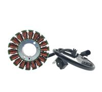 Générateur de Stator de bobine d'allumage for moto, adapté for TRK251 BN251 TNT25 TNT250 Le 250 BN TRK TNT 25 251