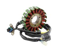 Générateur De Stator Pour Arctic Cat 300 Utility 2x4 Alterra Textron 2010-2024 Stator Motocyclette