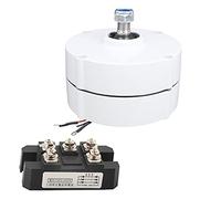 Générateur d'éolienne à aimant permanent 12 V 100 W, alternateur synchrone triphasé à haute efficacité pour systèmes d'énergie éolienne, modèle NE 100, utilisation industrielle (Moteur + redresseur)