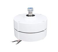 Générateur d'éolienne à aimant permanent 12 V 100 W, alternateur synchrone triphasé à haute efficacité pour systèmes d'énergie éolienne, modèle NE 100, utilisation industrielle (Motrice)