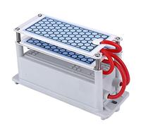 Générateur D'ozone 10g Générateur D'ozone Intégré Ioniseurs D'air à la Maison Désodorisant Machine élimination des Odeurs Pour la Maison Hôtels Sous-sol Voiture(AC220V)
