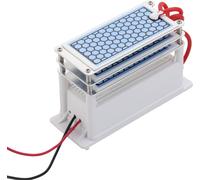 Générateur d'ozone céramique portable 15g/h Long Life Three Ozone Tablets Integrated Plate Air Water Purifier Ozonizer