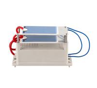 Générateur d'ozone portable 7 g/h avec plaque en céramique à double feuille stérilisée à l'air (110 V)