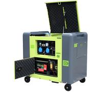 Générateur électrique Diesel insonorisé - VARAN - Type Panda - 5500 w - Electrique - Monophasé
