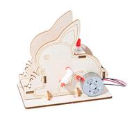 Générateur Manivelle Expérience Scientifique Conversion D'énergie Mécanique | Ensemble D'assemblage De Puzzle Pratique, Équipement Pédagogique STEAM For L'expo-sciences En t À La Maison