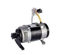 Générateur sans balais AG 2 kW/2,5 kW 220 V, alternateur monophasé avec poulie, bobine en cuivre pur, régulateur de tension, compatible avec les moteurs essence ou diesel pour climatiseur, pompe à eau