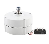 Générateur Torvex, alternateur-dynamo triphasé à aimant permanent AVAN-300W pour système de production d'énergie éolienne à basse vitesse (Avec redresseur 12V)