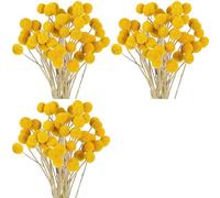Generchin 144 Fleurs Séchées BillyBalls Séchées Craspedia Séchées Bouton Fleurs Séchées Jaunes Fausses Fleurs Séchées en Soie