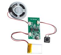 Generchin Module Enregistreur Sonore Programmable avec Puce D'Enregistrement de Musique Vocale en Haut-Parleur, Capable D'Enregistrer de Musique Sonore