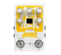 Generchin Pédale de Guitare à Réverbération Stéréo, 9 Algorithmes Spatiaux, Enregistrement USB, Bypass Analogique/Numérique pour Guitare Électrique