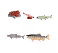 Generic 4x Jouets Du Cycle de Vie Du Saumon, Modèle de Biologie Cognitive Préscolaire, Décoration de Gâteau, Chiffres Du Cycle de Croissance Des Animaux,