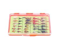 Generic Assortiment de Mouches de Pêche à la Mouche, 30 + Leurres Durables pour la Pêche à la Truite et au Bar, Coffret Portable en Plein Air (81122C30 (30 pièces))