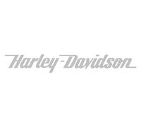 Generic Autocollant en vinyle Harley Davidson Silver - 18 cm de large x 2,5 cm de haut