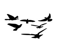 Generic Autocollant Mural Miroir Décoratif en Forme D'oiseau, Autocollants DIY pour la Maison, le Salon, la Chambre à Coucher, Ensemble en Plastique de Haute qualité de 11 Pièces pour Décoration