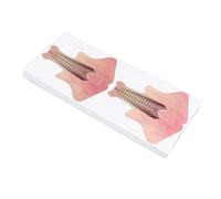 Generic Autocollants de Forme de Guide D 'ongle, Longueurs de Forme D ' Extension 'ongle de Tille Marqués Purs à la Taille