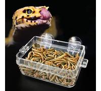 Generic Bassin à Vaisselle Anti-évasion, ABS Transparent Durable pour L'alimentation et la Boisson des Reptiles et des Amphibiens, Mangeoire à vers