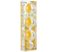 Generic Boîte D'élevage de Fourmis Transparente en Acrylique, avec Zone D'humidification Hydratante pour Animaux de Compagnie, à des Fins D'éducation Scientifique pour Enfants