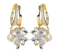 Generic Boucles D'oreilles Drainage Lymphatíque Pour Perte Poids Lymphvity Magnetherapy Germanium Boucles D'oreilles Boucles D'oreilles Élégantes En Cristal Crystal Drop Earrings Pour Femmes Filles