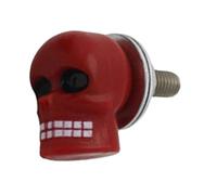 Generic Boulons pour signalétique moto, vis d'immatriculation - Boulons de d'immatriculation de moto, boulons de d'immatriculation avec tête de mort, boulons décoratifs