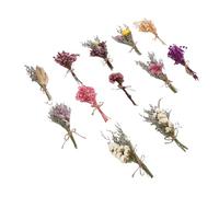 Generic Bouquets de Fleurs Séchées Faites à la Main, 12 Pièces, pour la Décoration de la Maison et Les Cadeaux, Fleurs Sèches Vibrantes