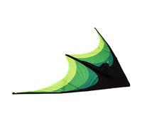 Generic Cerf-volant Triangulaire Robuste avec Tige et Corde de Cerf-volant, Durable de 1,6 M de Long pour les Jeux de Plein Air en Famille, Facile à Assembler et à Faire Voler, pour Enfants et Adultes