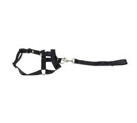 Generic Corde Réglable pour la Bouche du Chien avec Contrôle Sûr pour L'entraînement, Empêche Les Morsures des Animaux de Compagnie. Matériau : Polyester. (XL)